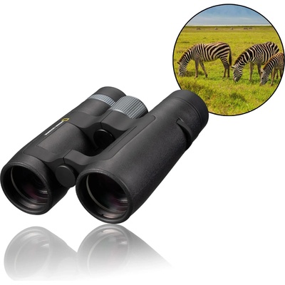 National Geographic NG 10x42