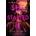 She Started It - Gilbert Sian