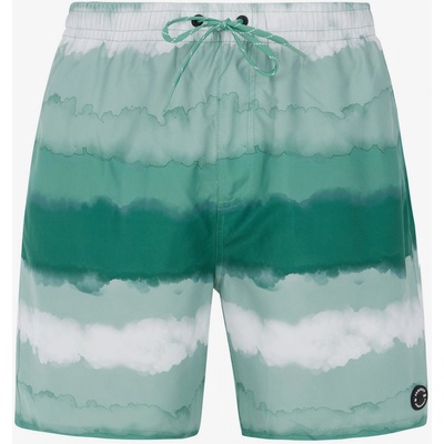 Protest Мъжки плажни шорти Protest PRTHAMSEY Protest | Zelen | МЪЖЕ | M