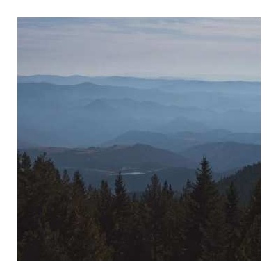 Maybeshewill - No Feeling Is Final LP
