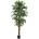 Bizzotto ИЗКУСТВЕНО РАСТЕНИЕ ficus 210cm ЗЕЛЕНО (0172847)