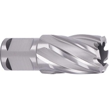 ABSE N-HS-W19-0210025