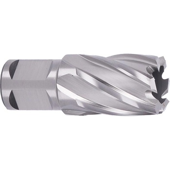 ABSE N-HS-W19-0210025