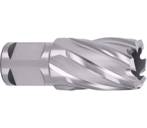ABSE N-HS-W19-0210025