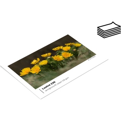 A4/500 | SERIES230 Lustre | priem. balenie