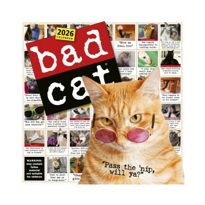 Bad Cat Wall Celebrating the Misfits of the Feline World 2026