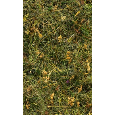 Komar Vliesová fototapeta Bergheu rozměry 150 x 250 cm