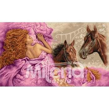 Milena Style Вълшебен сън - гоблен със схема конци dmc 1: 4