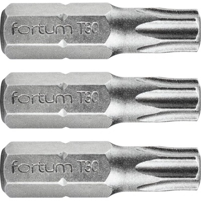 Fortum 3ks T30x25mm 4741430