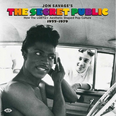 Various Artists - JON SAVAGE'S THE SECRET PUBLIC CD