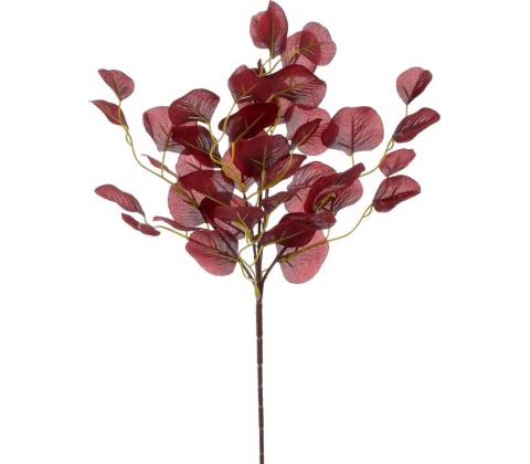 KS EUKALYPTUS BORDO 49CM