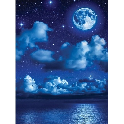 Preinterier Fototapeta panel - PL0258 - Jasná noc vlies - 206cm x 275cm