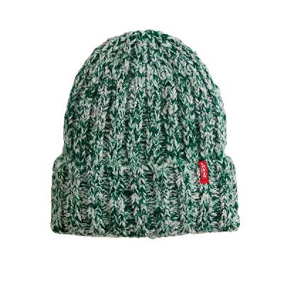 Шапка Levi´s ® Alex beanie - Green (Niagara Mist)