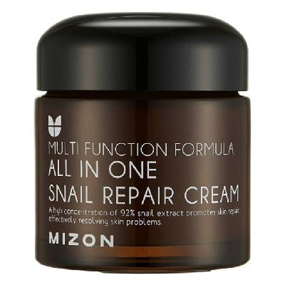 MIZON ALL IN ONE SNAIL REPAIR CREAM 75 ml