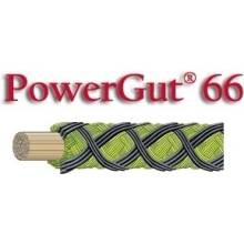 Ashaway Powergut 66 10m