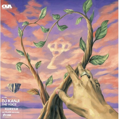 DJ Kanji - The Voice LP