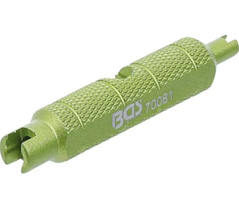 BGS 70081