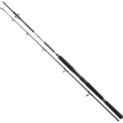 Daiwa BG Pilk Offshore 2,4 m 40-125 g 2 díly