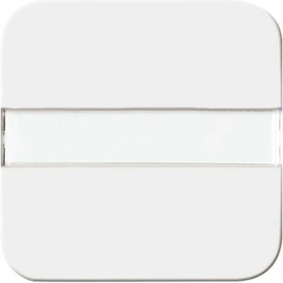Busch-Jaeger 2CKA001731A0520