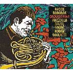 Supraphon Baborák Radek: Orquestrina - CD (008209)