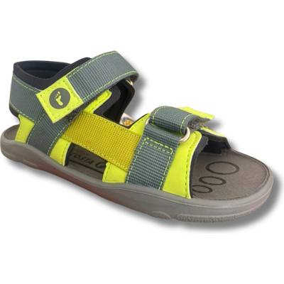 RICOSTA Loen Kiwi