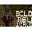 Bold New World