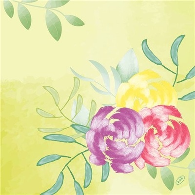 Dunisoft Obrúsok BioSoft Tropics 100031859 40x40cm 60ks