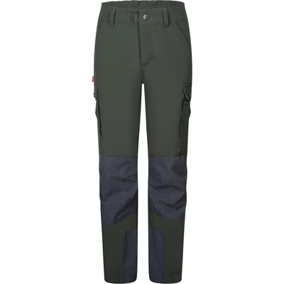Trollkids Детски туристически панталон Trollkids Kid's Hammerdalen Pant Walking trousers - Ivy - размер 146 (EU) (701-1736-0519)