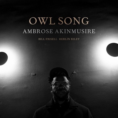 AKINMUSIRE, AMBROSE - OWL SONG , Vinyl