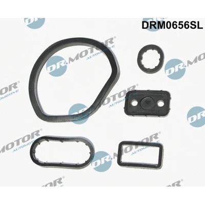 Sada těsnění, chladič oleje Dr.Motor Automotive DRM0656SL