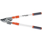 TopGarden 382915