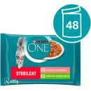 Purina One SterilCat mini filetky s morkou a zelenými fazuľkami s lososom a mrkvou v šťave 48 x 85 g