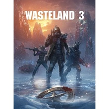 Wasteland 3