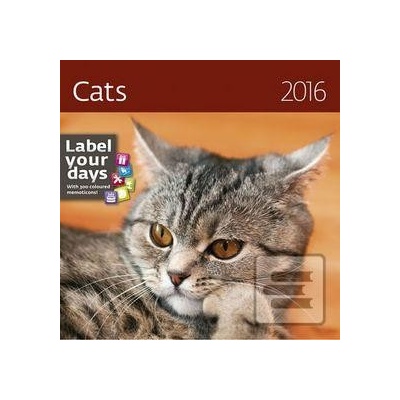 nástěnný Cats 2016