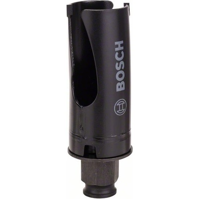 Bosch 2608580733