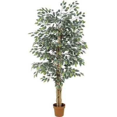 Umelý fíkus Lafiora BENJAMINA v. 180 cm zelený/biely
