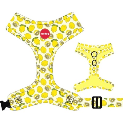 Reedog postroj LEMON