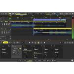 DJ. Studio Pro + Stems (Дигитален продукт)