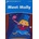 Dolphin 1 Meet Molly