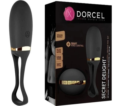 Marc Dorcel Secret Delight