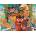 Castorland - Puzzle Owls - 2 000 piese