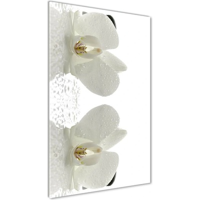 Vertikálny foto obraz sklo tvrdené Orchidea a kamene 50x100 cm
