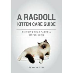 A Ragdoll Kitten Care Guide: Bringing Your Ragdoll Kitten Home | Jenny Dean (ISBN: 9781975760328)