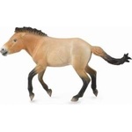 CollectA Stallion Przewalski Figure (88602)