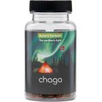 Bioform Имунитет и енергия - Чага, 400 mg х 60 капсули (2308 BFM)