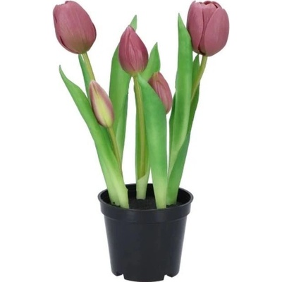 5ks světle fialový realistický tulipán Tulips v květináčku - Ø 8*7/ 26 cm - daan kromhout