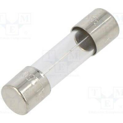 EATON/BUSSMANN BK1-S506-250-R Pojistka: tavná; kulatý,sklěněná; 250mA; 250VAC; zpožděná; 5x20mm