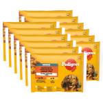 PEDIGREE Senior Смесен избор в желе 12 x (4 x 100 г)
