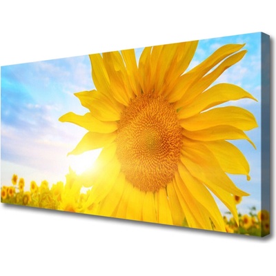 Obraz Canvas Slnečnica kvet slnko 100x50 cm