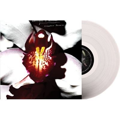 Chrysta Bell & David Lynch - Cellophane Memories (Limited Edition) (Clear Coloured) (LP) (843563175538)